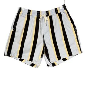 Urban Outfitters Shorts Mens Small Blue Stripe Canvas‎ Elastic Drawstring Waist
